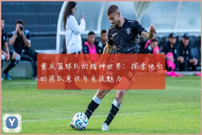 重庆篮球队的精神世界：探索他们的团队意识与竞技魅力