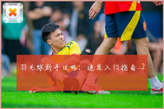 羽毛球新手攻略：速度入门指南_2