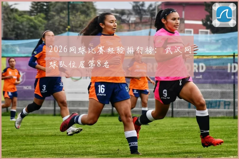 2026网球比赛经验排行榜：武汉网球队位居第8名