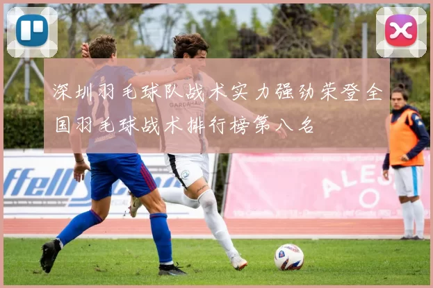 深圳羽毛球队战术实力强劲荣登全国羽毛球战术排行榜第八名