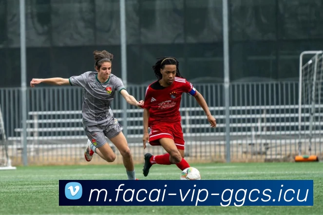 开云体育平台生态图