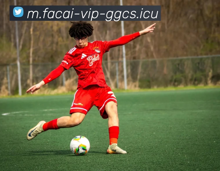 开云体育APP 封面图